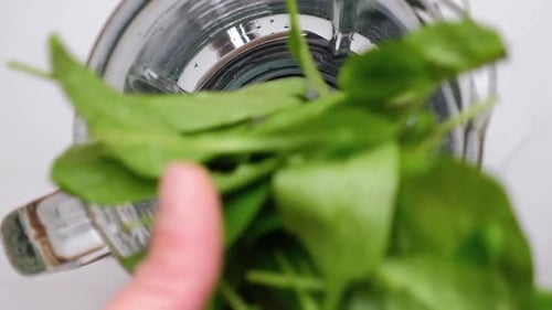 Cooking Spinach Smoothie in Blender Pouring Green Vegetable Leaves in Blender Slow Motion Healthy