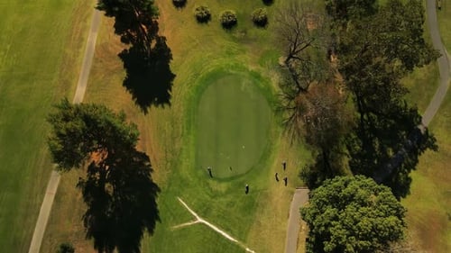 Aerial overhead shot of golfers on putting green
