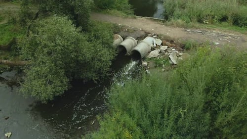 Concrete Pipes For Sewage. Dirty City River. With Overgrown Shores. Aerial Photography.