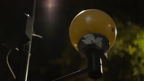 Luzes amarelas de travessia de pedestres piscando à noite em uma encruzilhada em Londres, no Reino Unido,