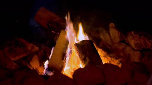 Firewood