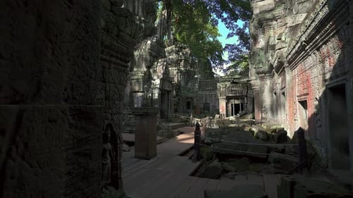 Ta Prohm Temple Passageway with Roots