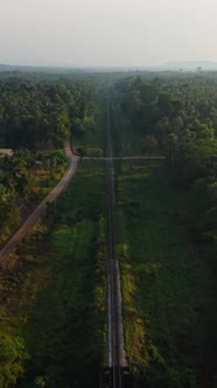 Vertical Clip of Panoramic Aerial View Showing a Serene Green Landscape ...