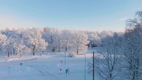 Aerial view over snowy homes, rural streets and frosty countryside forest, sunny day