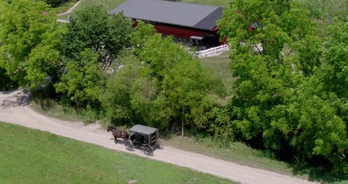Amish buggy travels through lush green farmland in rural lancaster Pennsylvania