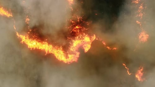 Forest Fire With Intense Heat