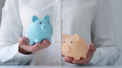 Woman Holding Two Piggy Banks Finance Accounting Diversification