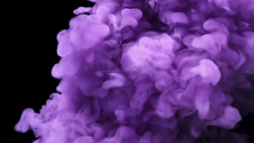 Dynamic Purple Smoke Fluid Swirl Animation