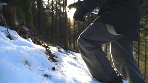 Side View of Young Tourist Climbing Up on Snowy Slope in Mountain Pine Forest