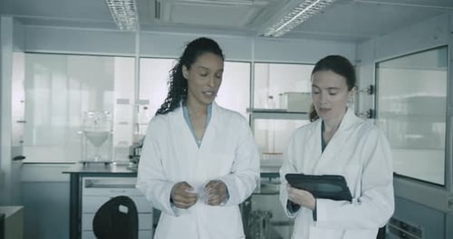 Women Scientists Discussing Data in Research Laboratory