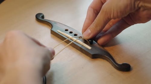 Luthier instalando novas cordas e pinos na ponte de um violão acústico. - close up, timelaps