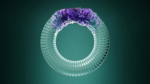 Renderização 3D do caminho de deformação do toro