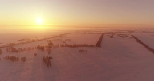 Aerial Drone View of Cold Winter Landscape with Arctic Field Trees Covered with Frost Snow and