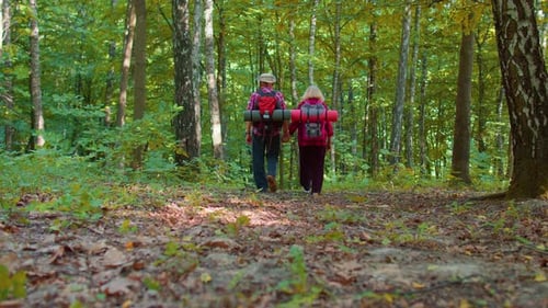 Senior Couple Hiking Holding Hands in Forest