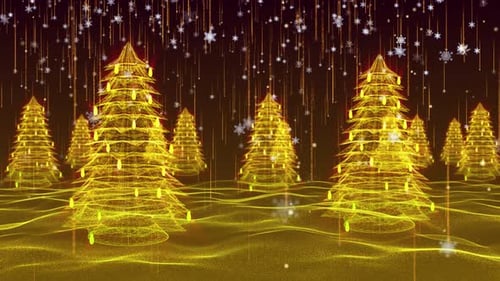 Christmas Eve And Christmas Woods Shuttle Background