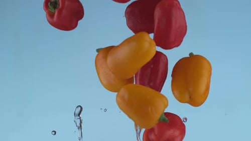Colorful bell peppers falling in slow motion shot