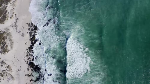 Des vagues s'écrasent sur le rivage
