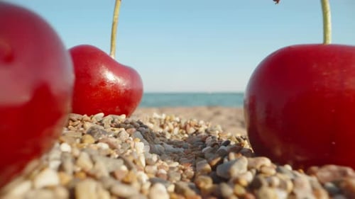 La caméra se déplace parmi les cerises au bord de la mer. Dolly Slider en très gros plan. Sonde Laowa.
S