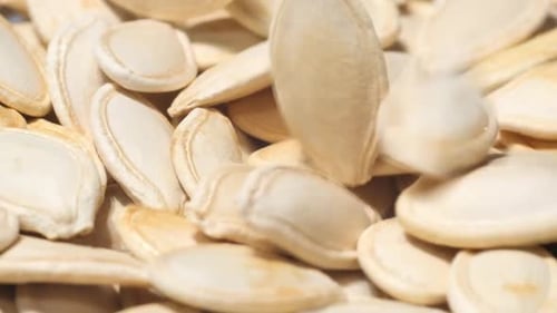 Close Up of Raw Pumpkin Seeds Background