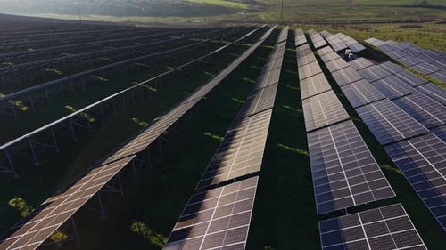 Solar panels located in a large field capture sunlight for energy