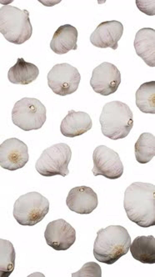Vertical Floating Garlic on White