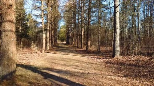 Arboretum In Luzhesno 03