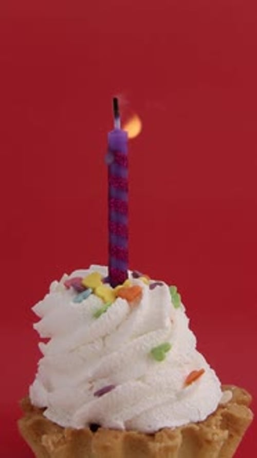 The Candle on the Cake is Blown Out The Candle Does Not Go Out Immediately