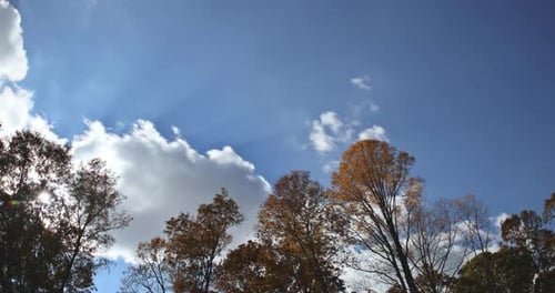 The Autumn Forest Has a Beautiful Landscape with Time Lapse Clouds Moving Over the Trees