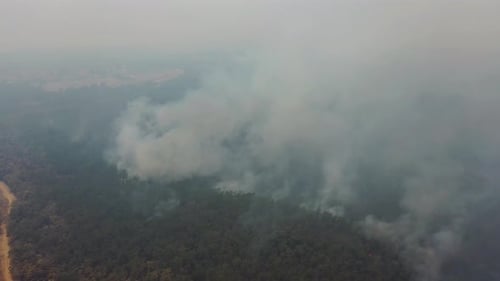 Sydney - En haut du feu de brousse