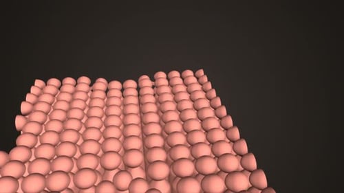 Dynamic Cell Membrane and Protein Channel Animation