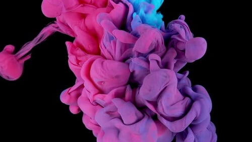 Abstract Pink and Blue Ink Plumes on Black