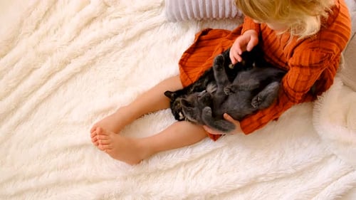 Child Plays with Gray Kittens on a Blanket