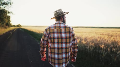 Farmer in Straw Hat Walks Along Empty Asphalt Road Near Wheat Field in Summer Outdoors Under Sun