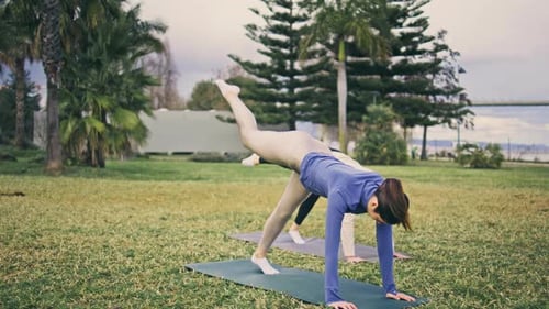 Empowered yogini stretching body raising leg with sporty women team at park fitness