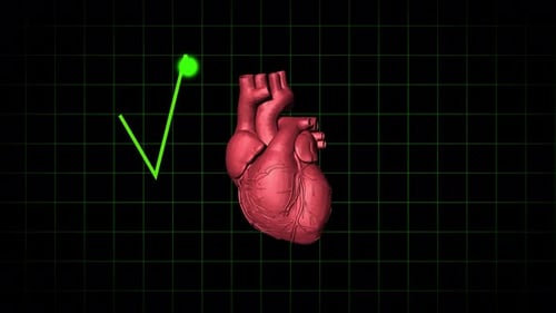 Heart Beat Animation With Pulse Line And Grid Background