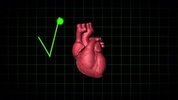 Loop Animation Of 3d Heart Beating With Neon Heart Pulse, 3d Heart ...