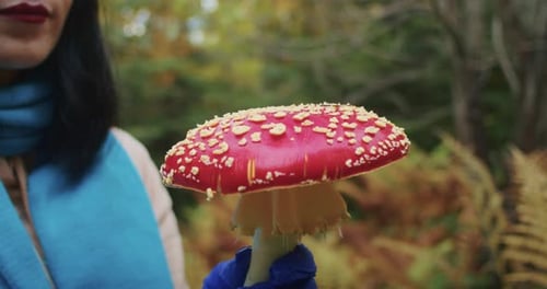 Mulher de perto coleta cogumelos agáricos voadores