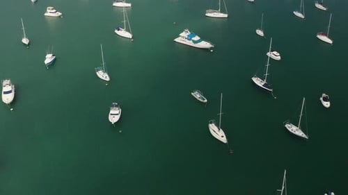 Aerial view of yacht cub and marina on sunny day. Yacht and sailboat is moored at the quay.