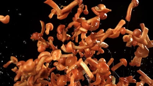 Delicious Mushrooms Tossed in the Air Against Black Background