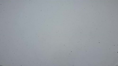 Huge snowflakes falling from the sky. White snow flakes flying in the air. Snowing in the winter. He