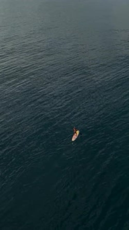 Person Stand Up Paddle Boarding in the Ocean