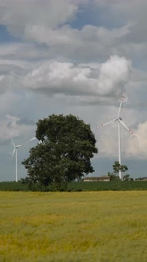 Vertical View From Moving Vehicle Towards Wind Generators