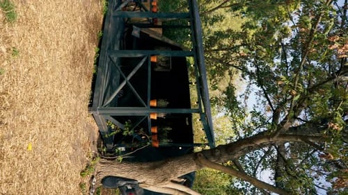 vertical video A mobile home with a terrace is located in country glamping site for relaxation