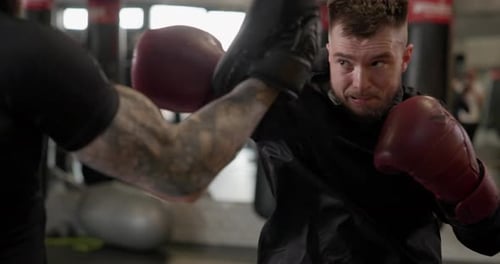 Young Man in Dark Tracksuit and Gloves Doing Boxing Training with Trainer in Gym