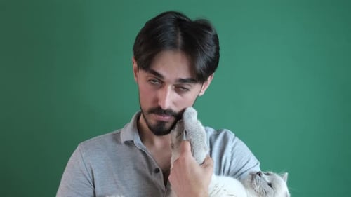 Cat Lover