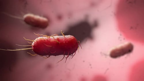 Bacteria on Red Background 3D Animation