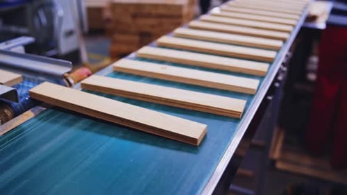 Wooden boards moving on a conveyor line. Modern factory of parquet production.