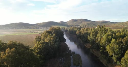 Landscape, river and trees with nature, environment and scenery, aerial view with Earth and outdoor