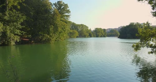 Tranquil pond surrounded by lush trees in Parc de la Tête d'Or, Lyon on a sunny day