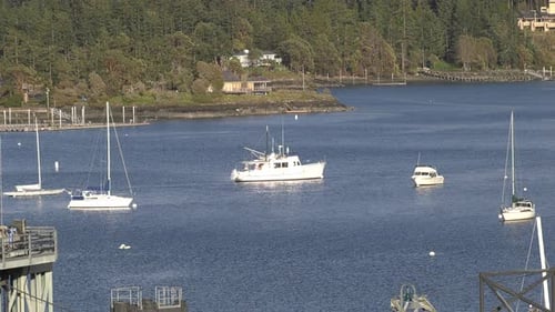 Boats Docked at harbor -